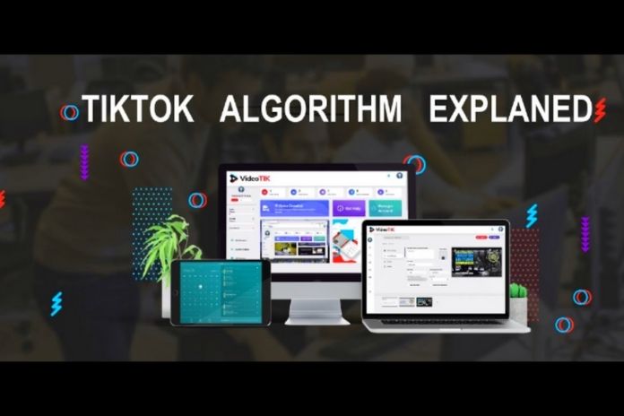 How Does The TikTok Algorithm Work