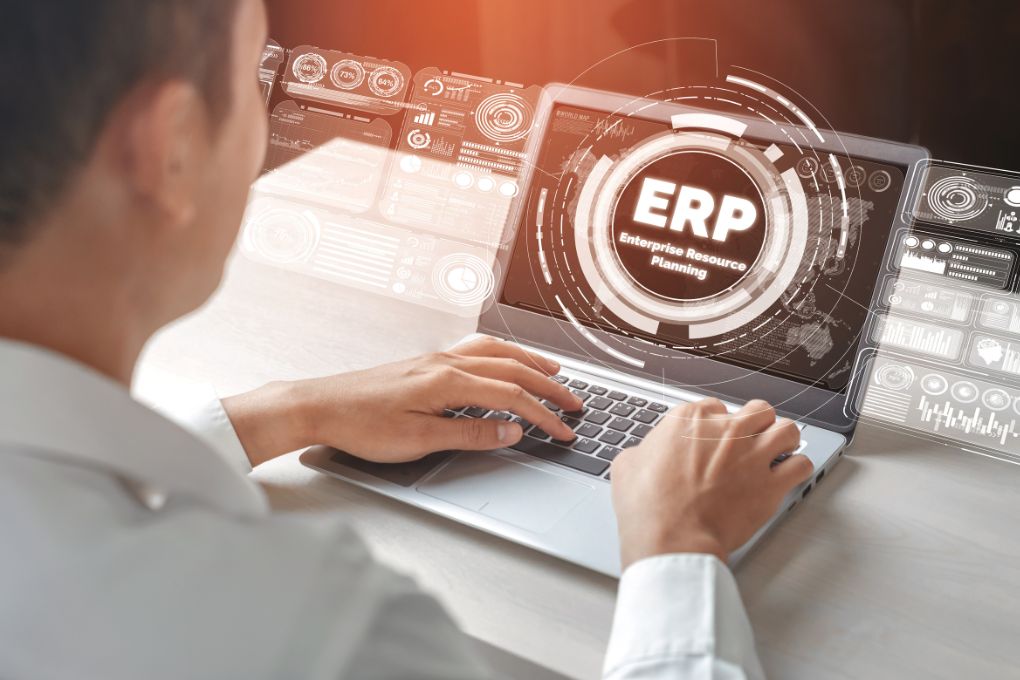 The New Professions Of Data And ERP