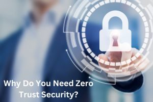 Why Do You Need Zero Trust Security