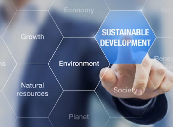 Marketing For a Better World How Sustainability Takes Center Stage
