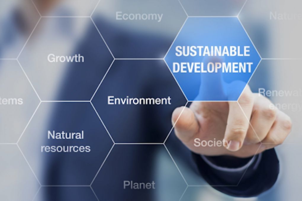 Marketing For a Better World How Sustainability Takes Center Stage