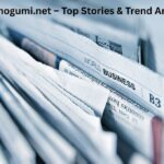 Kodomogumi.net – Top Stories & Trend Analysis
